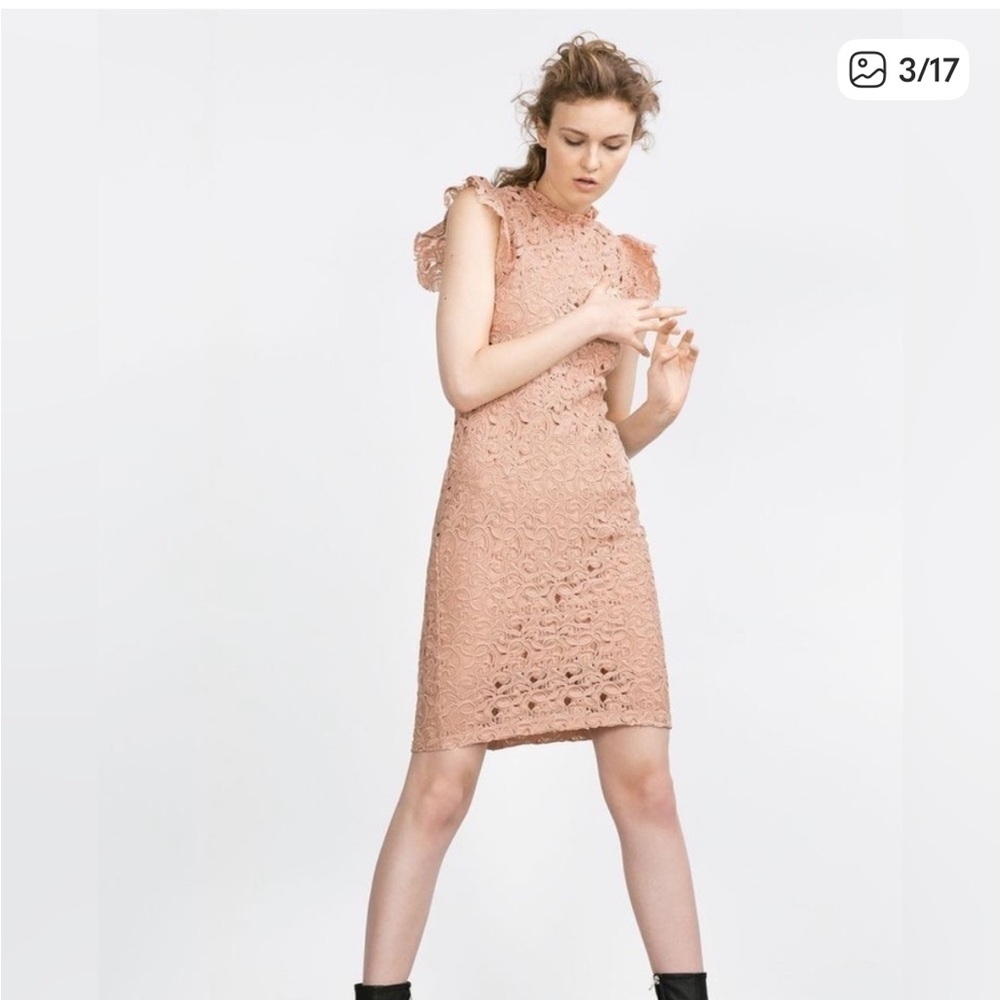 Zara Women's Blush Pink Guipure Lace Knee Length Dress Size S